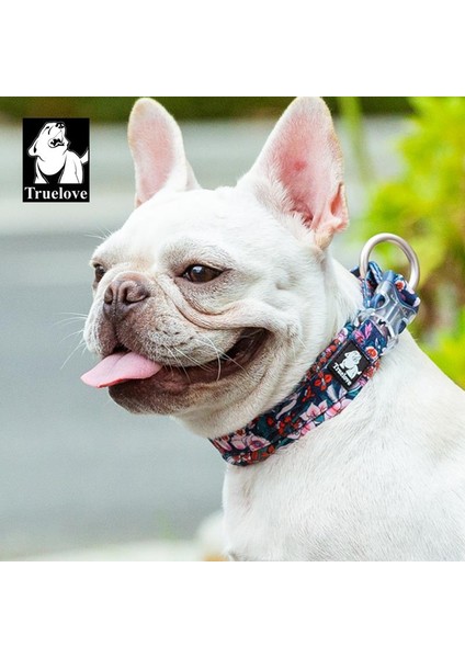 Renkli Çiçek Desenli, Neoprene Süngerli Mavi Boyun Tasması fırsatları