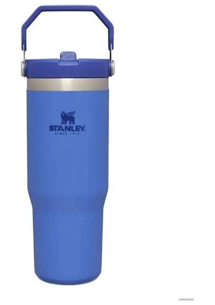 The Iceflow Flip Straw Pipetli Termos Bardak 0,89 Lt Mavi