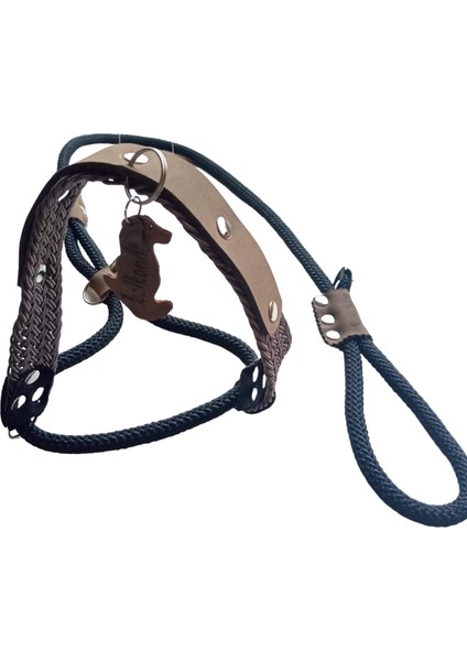 Köpek gezdirme kayışlı boyun tasmalı takım halat siyah gezdirme kayışı:100cm tasma ölçüsü:35-60cm ayarlamalı dog collar TB4-4