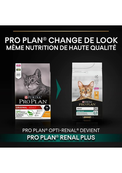 Tavuklu Pirinçli Yetişkin Kedi Mamasi 3 kg