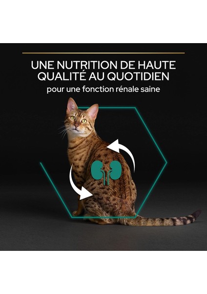 Tavuklu Pirinçli Yetişkin Kedi Mamasi 3 kg fırsatları