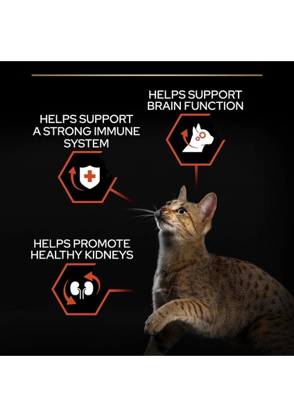 Proplan Somonlu Kedi Maması 1.5 kg