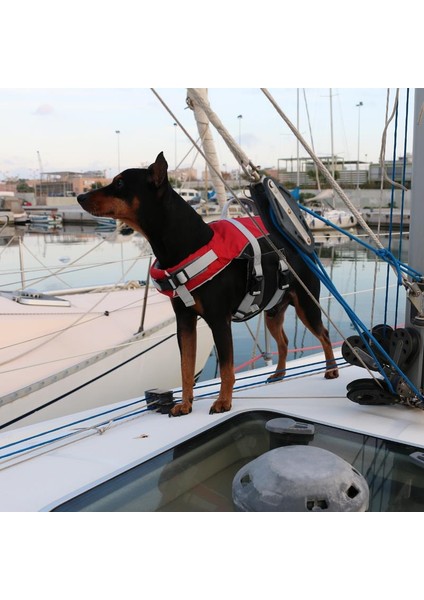 Comfy Köpek Can Yeleği , 40-80KG, Xl,kırmızı