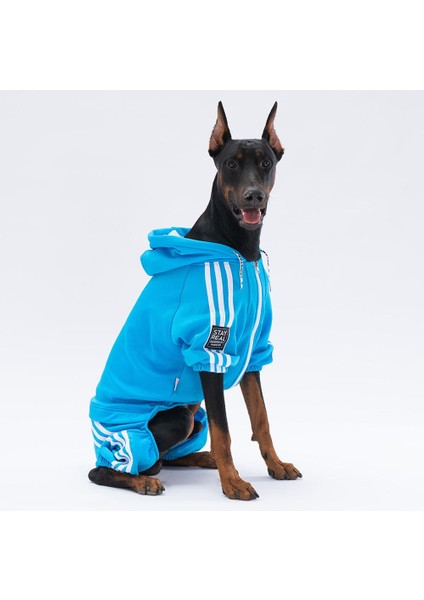 Turkuaz Tuta Orta-Büyük Irk Köpek Tulumu