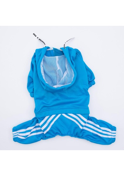 Turkuaz Tuta Orta-Büyük Irk Köpek Tulumu fiyatları