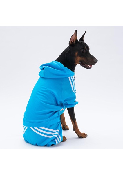 Turkuaz Tuta Orta-Büyük Irk Köpek Tulumu modelleri