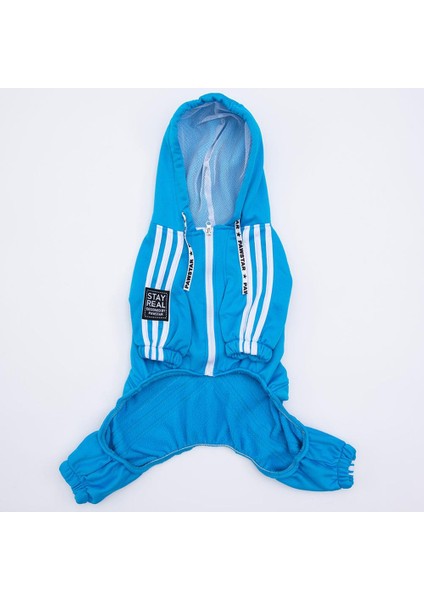 Turkuaz Tuta Orta-Büyük Irk Köpek Tulumu fırsatları