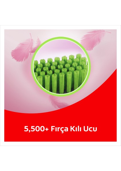 Ultra Soft Diş Etleri için Nazik Temizlik Yumuşak Diş Fırçası + Fırça Kabı Hediye