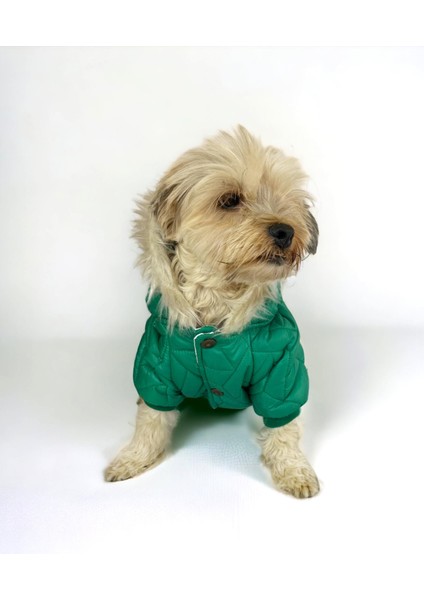 Luxy Green Köpek Montu Köpek Ceketi Köpek Dış Giyim fiyatları