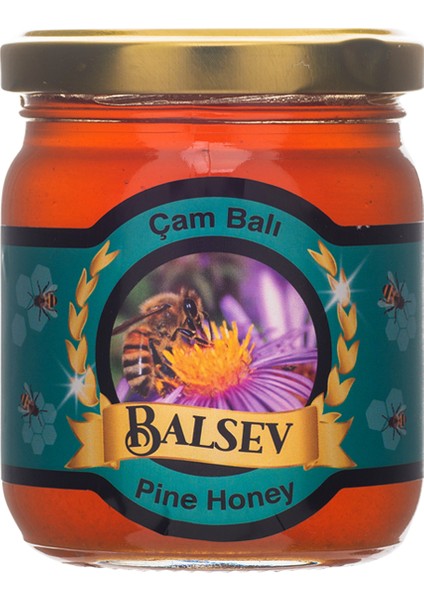 Çam Balı ( 250 Gr )