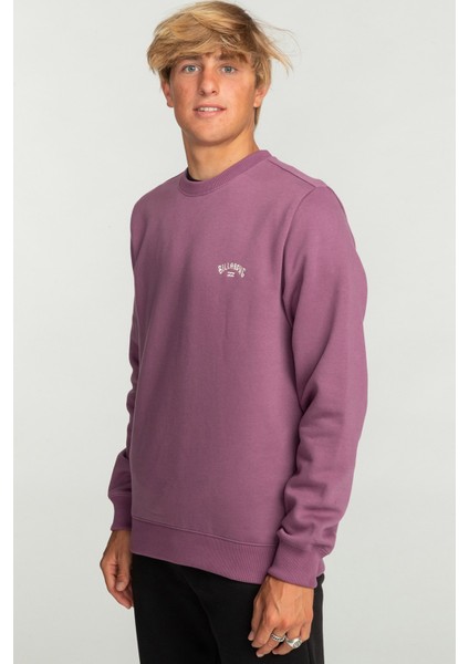 Arch Cr Erkek Sweatshirt EBYFT00113 EBYFT00113005 fiyatları