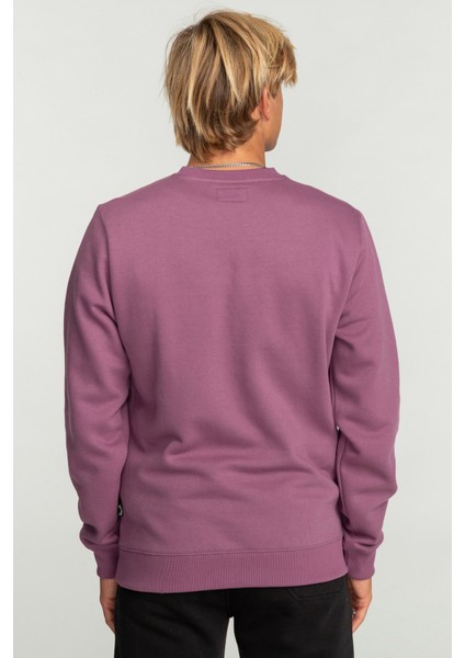 Arch Cr Erkek Sweatshirt EBYFT00113 EBYFT00113005 modelleri