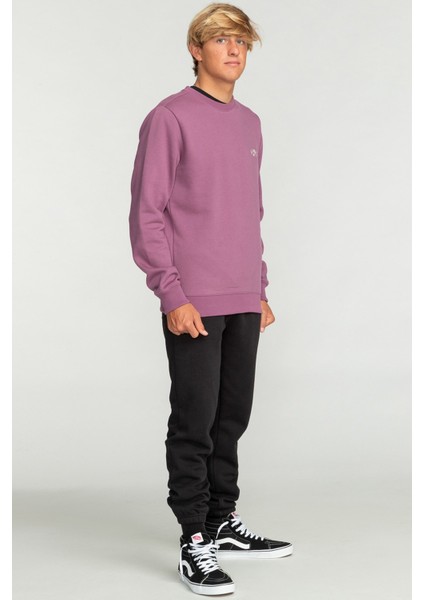 Arch Cr Erkek Sweatshirt EBYFT00113 EBYFT00113005 fırsatları