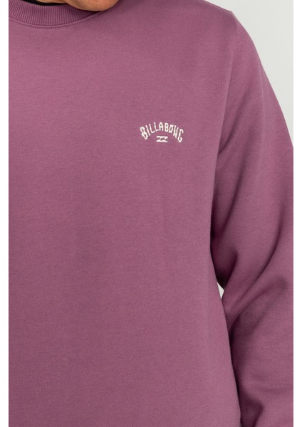 Arch Cr Erkek Sweatshirt EBYFT00113 EBYFT00113005 indirimleri