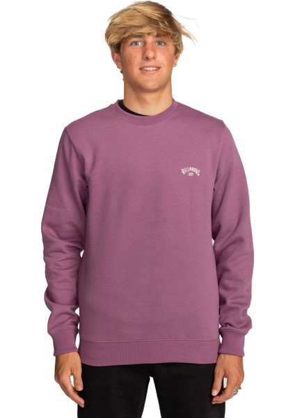 Arch Cr Erkek Sweatshirt EBYFT00113 EBYFT00113005