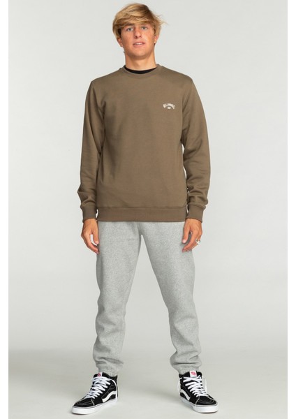 Arch Cr Erkek Sweatshirt EBYFT00113 EBYFT00113007 fırsatları