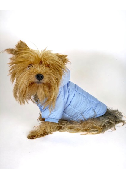 Baby Blue Comfy Köpek Montu Köpek Ceketi Köpek Dış Giyim modelleri