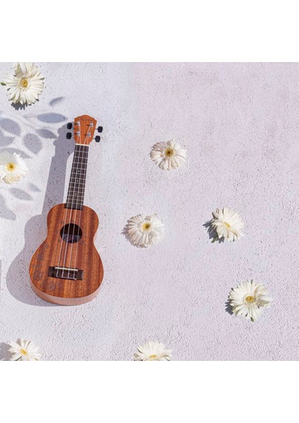 KUK-110EXA / Soprano Ukulele