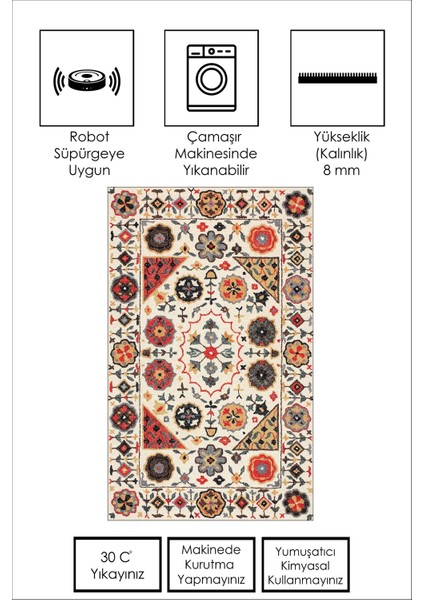 Lavita Home Dijital Baskı Yıkanabilir Kaymaz Renkli Salon Halısı Mutfak Halısı Yolluk ve Paspas