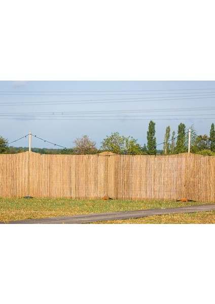 Reed Fence Uv.Misina Ip Örgülü Doğal Kamış Çit Balkon Çiti Hasır Bambu Çit Bahçe Çiti Ve Gölgelik Dekor