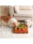 22X22CM Köpek Oyuncakları Peluş Havuç Snuffle Mat Pet Sebze Çiğneme Oyuncağı Yenilikçi Gizle Gıda Çekme Turp Yeme Alışkanlıklarını Geliştirin Interaktif Oyuncaklar (Yurt Dışından) 2