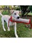 A5 Isırmaya Dayanıklı Köpek Halat Oyuncak Keten Pet Interaktif Sopa Tasarım Köpek Çiğneme Halatı Yavru Diş Çıkarma Oyuncak Pet Malzemeleri Köpek Yavrusu Şekerleri (Yurt Dışından) 4