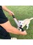 A2 Isırmaya Dayanıklı Köpek Halat Oyuncak Keten Pet Interaktif Sopa Tasarım Köpek Çiğneme Halatı Yavru Diş Çıkarma Oyuncak Evcil Hayvan Malzemeleri Köpek Yavrusu Şekerleri (Yurt Dışından) 5