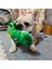Mavi Ördek Resim Olarak Küçük Orta Köpekler Için Squeak Evcil Hayvan Oyuncakları Peluş Yavru Köpek Çiğneme Oyuncak Oynayan Shiba Inu Golden Retriever Mascotas Ürünler Stegosaurus (Yurt Dışından) 4