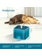 Green-Set3 Otomatik Kedi Su Çeşmesi Filtresi LED Aydınlatma ile USB Pet Su Sebili Köpek Kediler Için Devridaim ile 2l Kapasiteli Besleyici (Yurt Dışından) 3