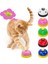 Beyaz Pet Oyuncak Eğitim Interaktif Oyuncak Denilen Akşam Yemeği Küçük Çan Ayak Izi Halka Köpek Oyuncakları Teddy Yavru Kedi Evcil Hayvan Çağrı Besleme Hatırlatma (Yurt Dışından) 2