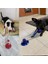 5 Renk Molar Halka Köpek Oyuncakları Interaktif Vantuz Itme Tpr Topu Oyuncaklar Pet Köpek Molar Bite Oyuncak Elastik Halatlar Köpek Diş Temizleme Çiğneme Malzemeleri (Yurt Dışından) 5