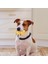 Gri Cırlak Domuz Köpek Oyuncakları Köpek Cırlak Oyuncak Lateks Köpek Çiğneme Oyuncakları Oinks Sesli Squeaker Grunting Domuz Köpek Oyuncak Lateks Homurdanan Domuz (Yurt Dışından) 3