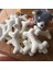 Beyaz 40 cm Pet Oyuncak Peluş Oyuncak Hediye Kemik Bebek Köpekler Için Simülasyon Oyuncak (Yurt Dışından) 5
