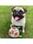 Siyah Pompasız Kommılıfe Interaktif Futbol Oyuncak Köpekler Için Açık Hava Eğitimi Futbol Evcil Köpek Oyuncakları Köpek Isırık Çiğneme Oyuncak Orta Büyük Köpek Topu Oyuncakları (Yurt Dışından) 2