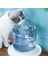 10 Adet Siyah 10-50 Adet Kedi Su Çeşmesi Için Yedek Filtreler WF050/WF060 Aktif Karbon Filtre Pet Otomatik Içme Besleyici Aksesuarları (Yurt Dışından) 1
