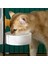 Yeşil Besleme 21X11X22CM Kedi Kafesi Asılı Otomatik Içme Çeşmesi Besleyici Büyük Kapasiteli Yavru Köpek Tavşan Besleme Kase Su Tiryakisi Evcil Hayvan Malzemeleri (Yurt Dışından) 2