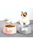 Gri Pet Köpek Besleme Yiyecek Kaseleri Köpek Güzel Ilmek Besleyici Bulaşık Kedi Su Suluk Ins Chihuahua Için Sevimli Kelebek Evcil Kaseler (Yurt Dışından) 4