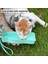 Pembe 250 ml Ebes 250 ML/500 ml Katlanabilir Plastik Pet Köpek Su Şişesi Köpekler Kediler Seyahat Köpek Suluk Fincan Açık Evcil Hayvanlar Su Besleyici (Yurt Dışından) 3