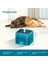 Green-Set4 Otomatik Kedi Su Çeşmesi Filtresi LED Aydınlatma ile USB Pet Su Sebili Köpek Kediler Için Devridaim ile 2l Kapasiteli Besleyici (Yurt Dışından) 3