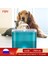 Green-Set4 Otomatik Kedi Su Çeşmesi Filtresi LED Aydınlatma ile USB Pet Su Sebili Köpek Kediler Için Devridaim ile 2l Kapasiteli Besleyici (Yurt Dışından) 4