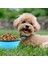Mavi 350 ml Katlanabilir Evcil Hayvan Kaseleri Silikon Köpek Kase Seyahat Yürüyüş Için Taşınabilir Su Kasesi Köpekler Için Katlanabilir Yiyecek Tabağı Karabina ile (Yurt Dışından) 5