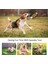 PT006-LIGHTPINK PT016 Karikatür Çiğneme Oyna Pet Cızırtılı Köpek Çiğneme Squeaker Vack Ses Bebek Oyuncak Yaratıcı Simülasyon Çörek Evcil Hayvan Malzemeleri Köpek Oyuncakları (Yurt Dışından) 4