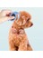 Mavi Yeni Köpek Tarak Pet Saç Çıkarıcı Fırça Açık Düğüm Tarak Rahat Dayanıklı Kedi Saç Fırçası Köpekler Için Evcil Hayvan Aksesuarları Kediler Fırça (Yurt Dışından) 3
