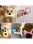 Stil 3 Pet Köpek Oyuncakları Küçük Köpek Çiğniyor Tpr Düğüm Oyuncaklar Isırmaya Dayanıklı Molar Diş Temizleme Köpek Eğitim Malzemeleri Interaktif Accessori (Yurt Dışından) 5