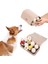 Timsah Köpek Oyuncakları Bulmaca Oyuncak Pet Köpek Küçük Köpekler Için Snuffle Mat Kedi Interaktif Eğitim Oyuncak Peluş Oyuncaklar Yavaş Yavaş Kaymaz Köpek Kaseleri Yeme (Yurt Dışından) 2