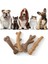 Boynuz L Pet Köpek Çiğneme Oyuncakları Azı Dişleri Temiz Sopa Ilginç Çam Ağacı Boynuzları Kemik Bambu Ateşi Şekli Çiğnenebilir Köpek Yavrusu Interaktif Oyun (Yurt Dışından) 2