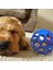 Mavi Köpek Çiğneme Oyuncak Doğal Kauçuk Bulmaca Topu Köpek Geometrik Güvenlik Oyuncak Topu Küçük Orta Büyük Köpekler Oynayan Evcil Hayvan Eğitim Malzemeleri Için (Yurt Dışından) 4