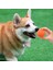 Mavi Xl-8cm Köpek Topu Yıkılmaz Çiğneme Kabarık Lastik Top Oyuncaklar Pet Köpek Oyuncak Topu Dize ile Büyük Köpek Yavrusu Oyunları Için Interaktif Oyuncaklar Oyuncaklar (Yurt Dışından) 5