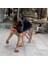 2-Sarı BOYUT-46CM Interaktif Köpek Oyuncak Yılan Şekli Köpek Çiğneme Oyuncakları Ses Cızırtılı Köpek Diş Fırçası Pet Molar Diş Temizleme Malzemeleri Köpek Yavrusu (Yurt Dışından) 3