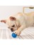 Yeşil Çap 9 cm Elastik Yüzen Pet Squeaker Pet Topu Oyuncak Temizleme Diş Yavrusu Büyük Köpek Çiğneme Oyuncakları Küçük Büyük Köpekler Için Fransız Bulldog Aksesuarları (Yurt Dışından) 4